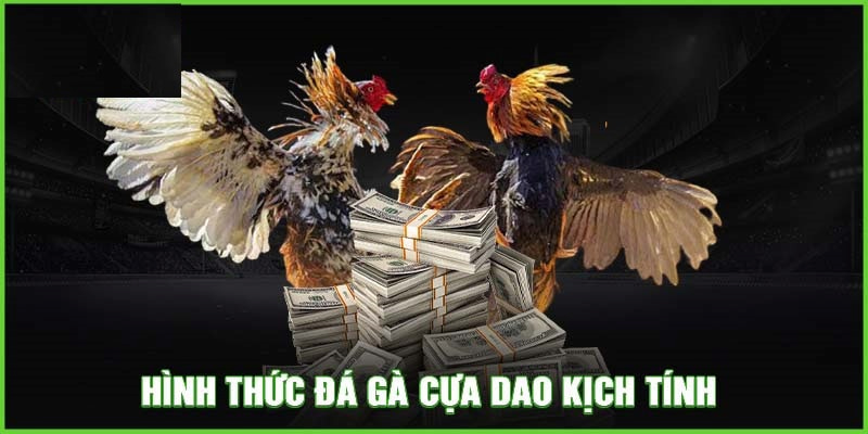 Đá gà cựa dao là siêu phẩm đặt cược tại nhà cái Lucky88