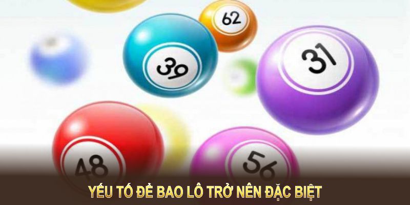 Có rất nhiều yếu tố để hình thức bao lô trở nên đặc biệt